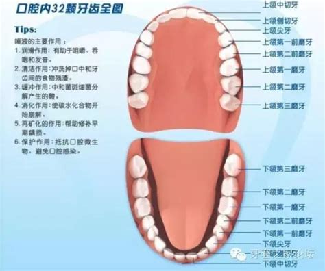 牙齒大顆的人